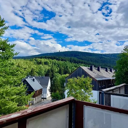 Zauberberg, Schneehase & Glitzerhirsch