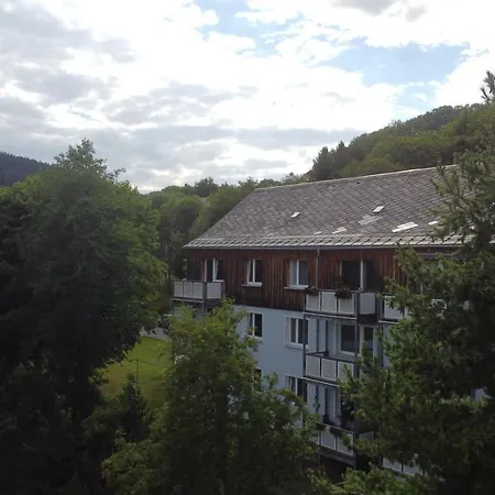 Zauberberg, Schneehase & Glitzerhirsch Апартаменты Курорт Обервизенталь