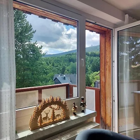 Апартаменты Zauberberg, Schneehase & Glitzerhirsch Курорт Обервизенталь