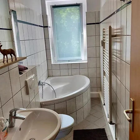 Zauberberg, Schneehase & Glitzerhirsch
