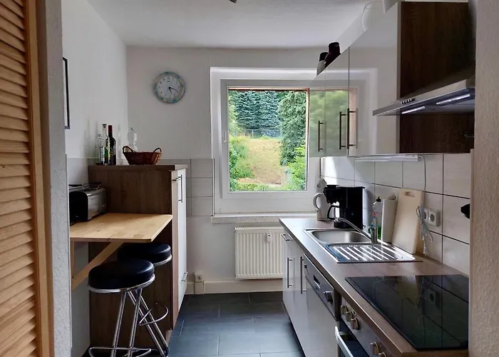 Zauberberg, Schneehase & Glitzerhirsch * Oberwiesenthal