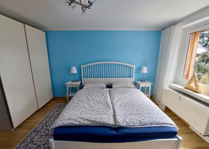 Zauberberg, Schneehase & Glitzerhirsch *