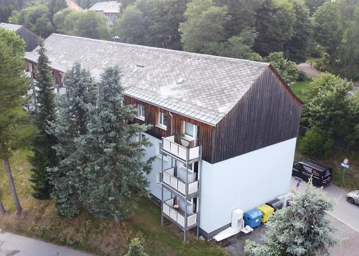 Zauberberg, Schneehase & Glitzerhirsch