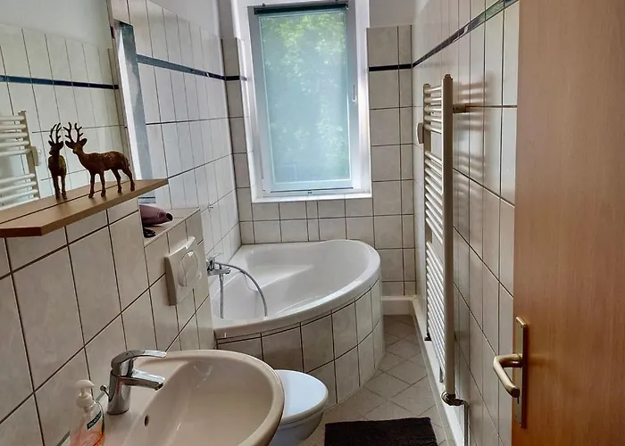 Zauberberg, Schneehase & Glitzerhirsch