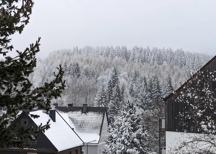 Zauberberg, Schneehase & Glitzerhirsch