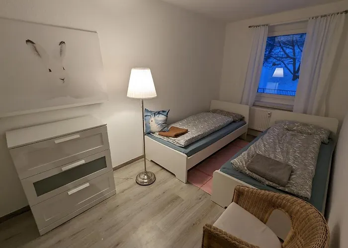 Zauberberg, Schneehase & Glitzerhirsch Oberwiesenthal